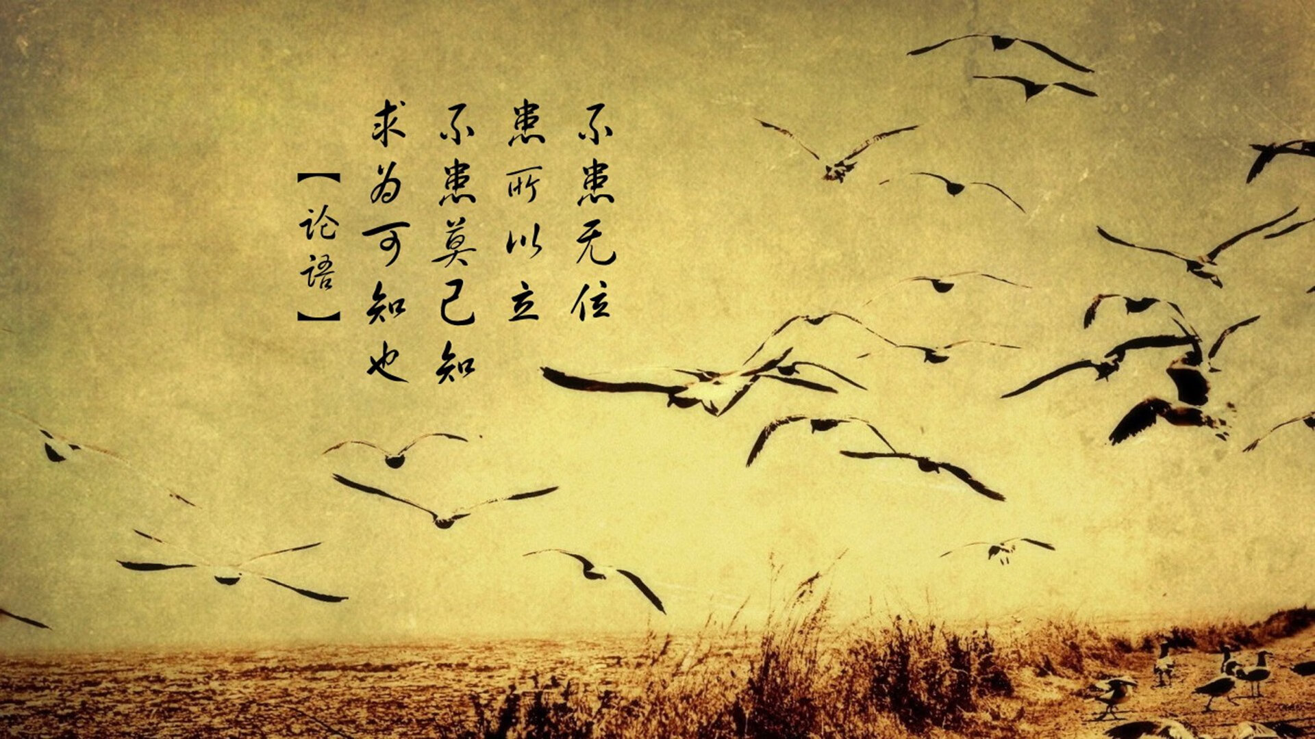 热火防守如铁，限制对手得分出奇制胜，热火队防守