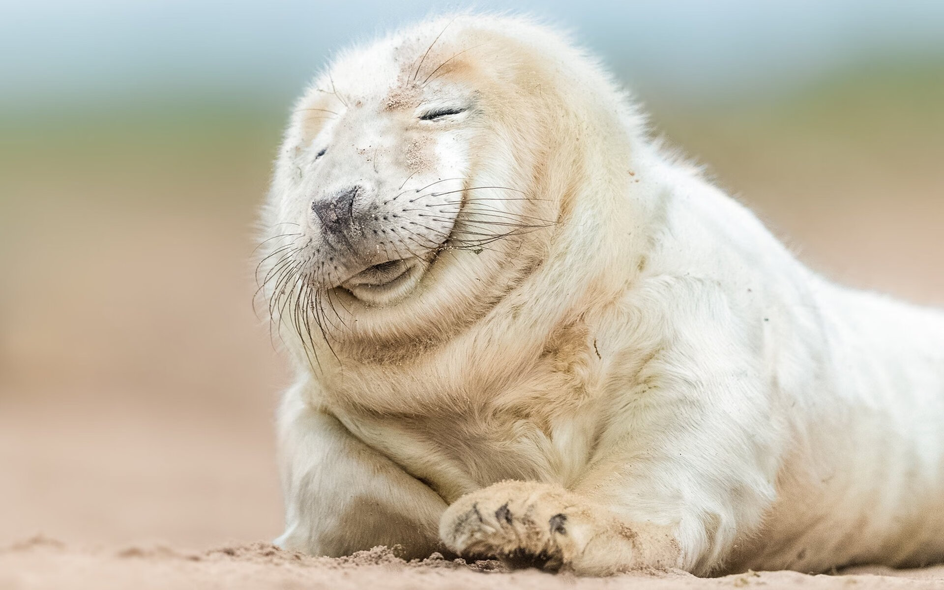 深度解析印度乒乓赛制：如何提升竞技水平，印度乒乓球水平怎么样