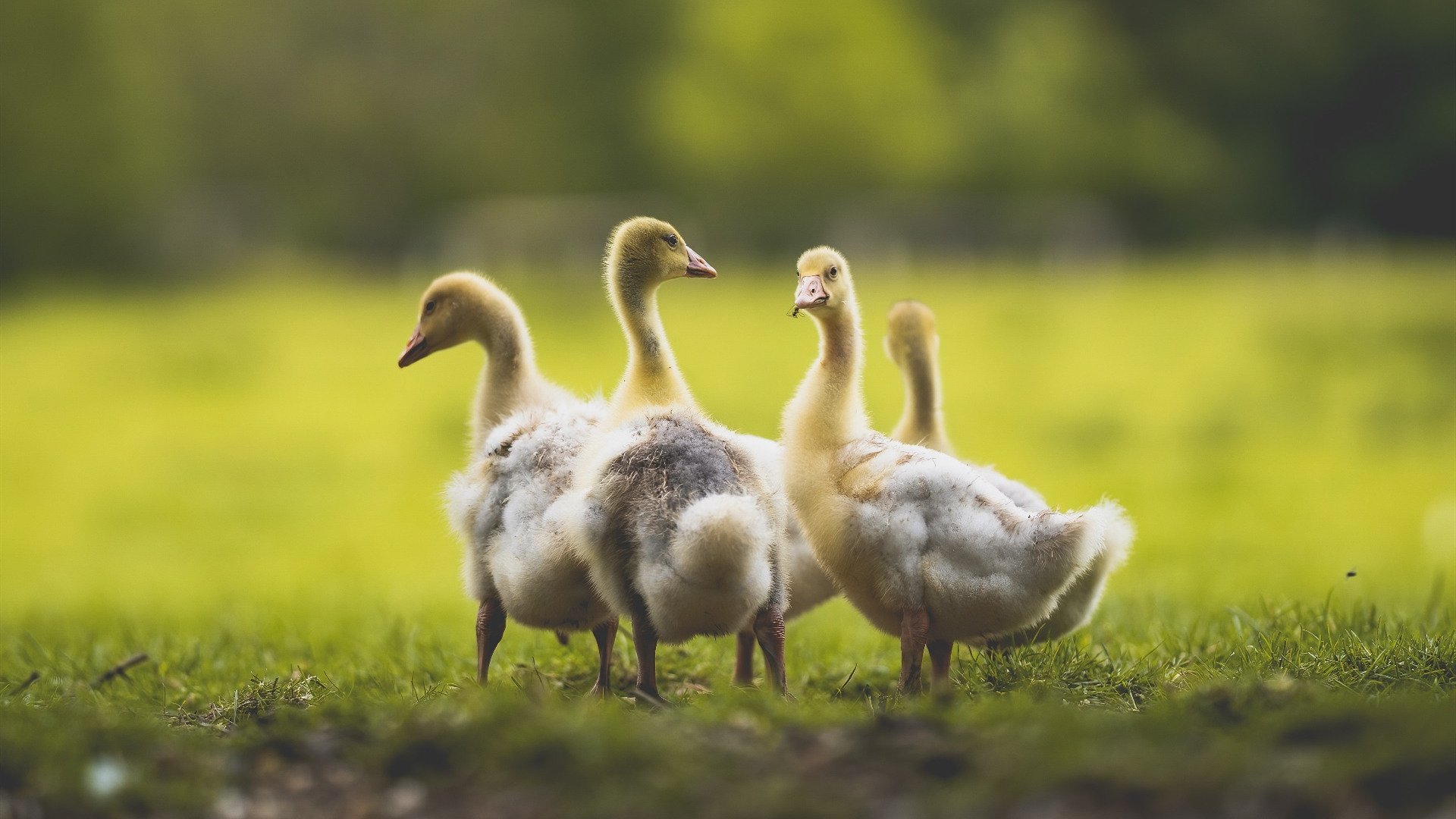九游游戏中心-赛事赞助合作模式日益多样化，如何进行赛事赞助的评估
