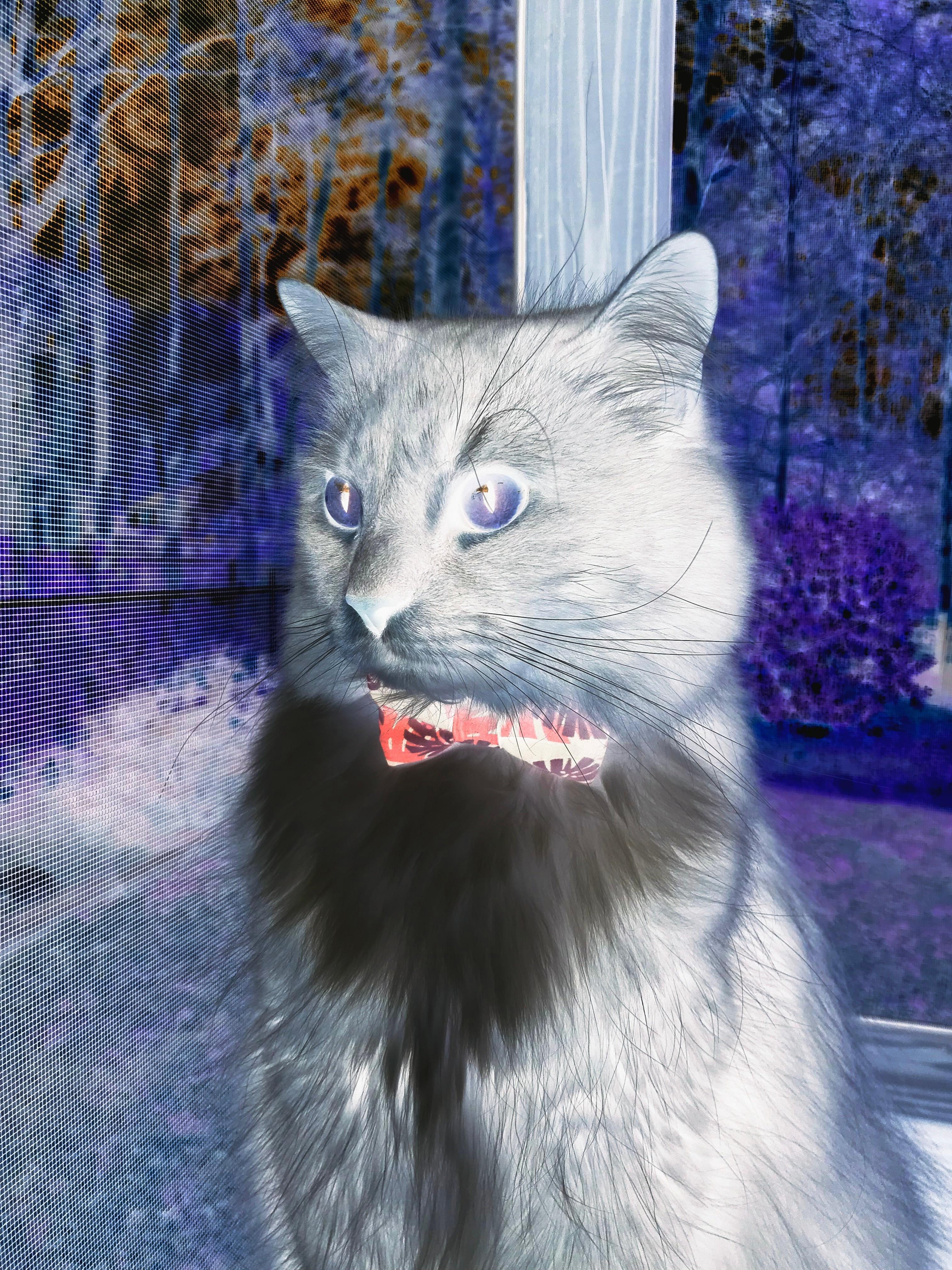 九游娱乐官网 (jiuyou)-蝶泳转身动作连贯度评分前五公布，蝶泳转身技术