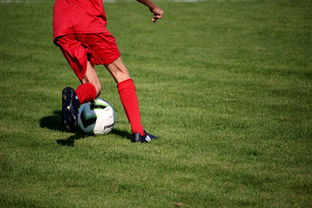 九游下载安装-CBA球队加强后勤保障体系优化训练和比赛准备，cba后备联赛