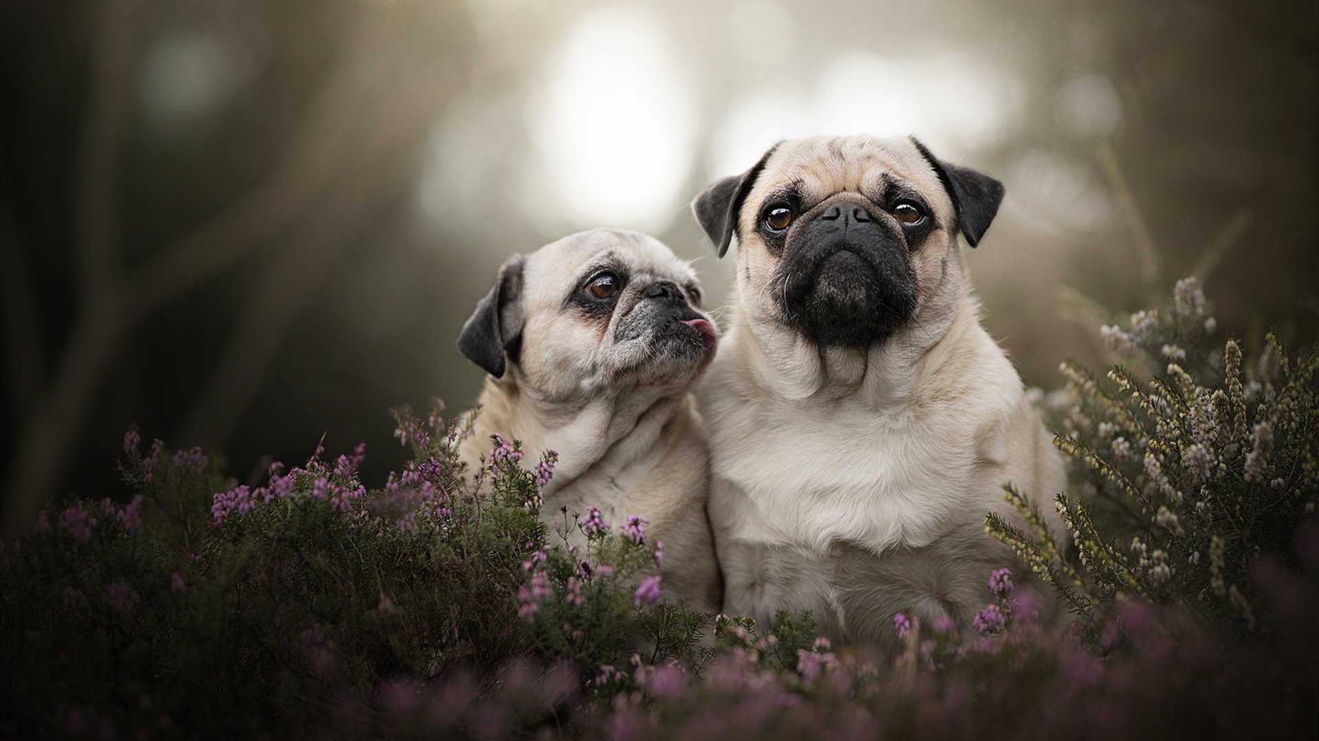 九游网-威少突破吸引包夹助队友轻松得分，威少突破脚步