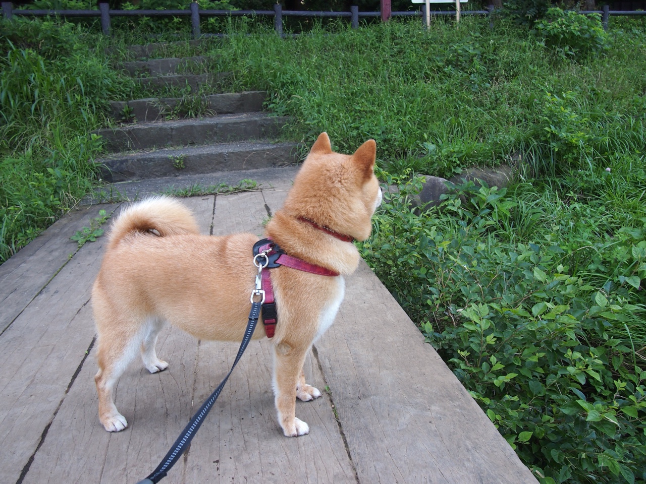 九游娱乐-库策用坚持与努力书写辉煌