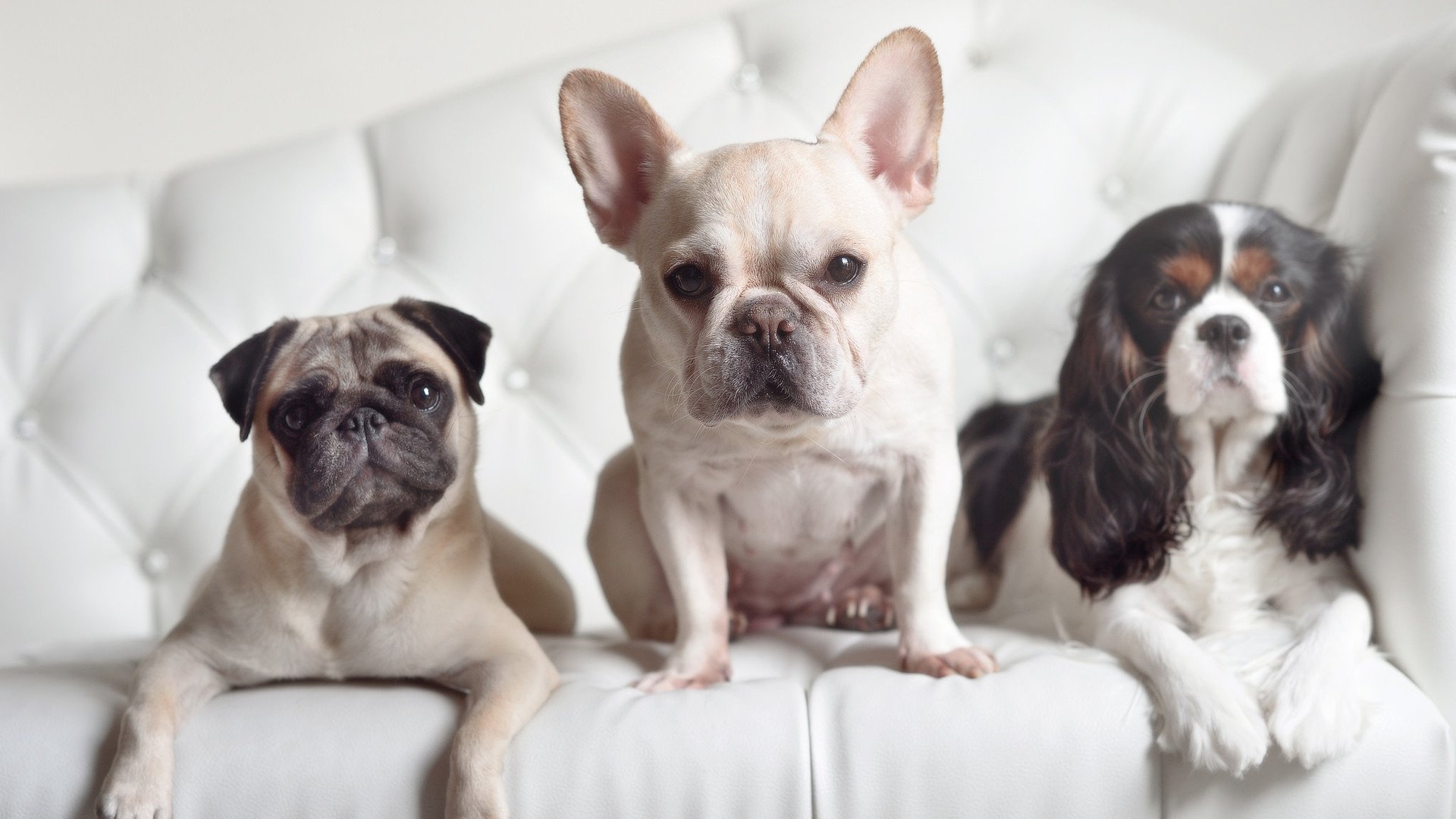 张雨霏刷新个人最好纪录，张雨霏个人记录