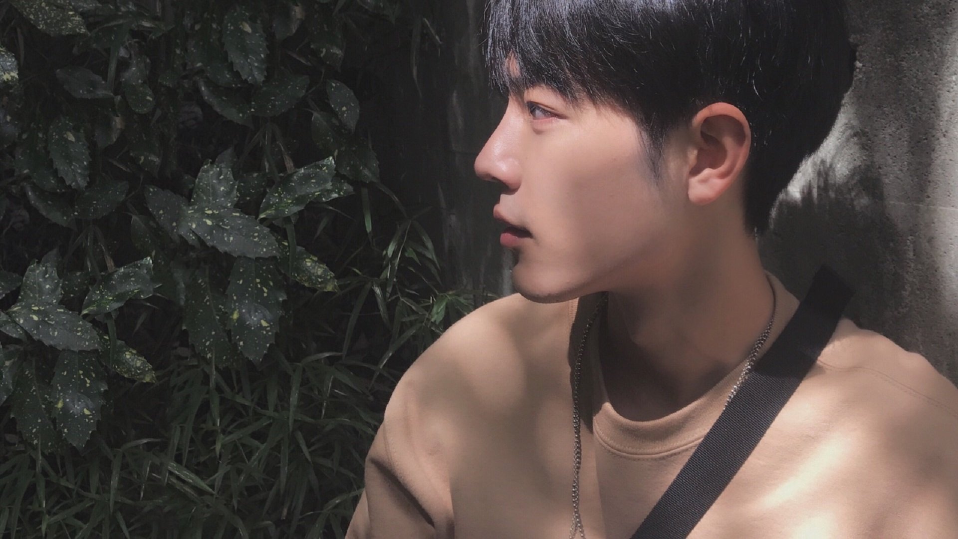 德甲比赛战况激烈：攻防转变令人屏息，德甲赛制规则