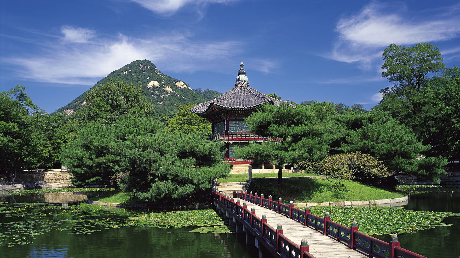 职业联赛推动主场城市定制口号提升归属感，职规赛标语