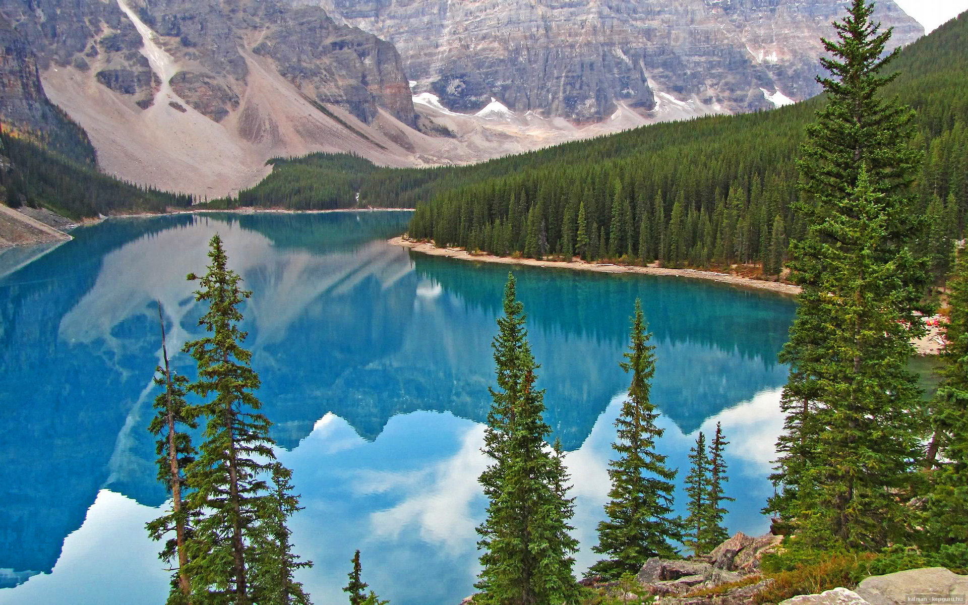 九游（jiuyou.com）游戏-跳水稳定发挥比利时步入决赛圈，跳水比分怎么算的