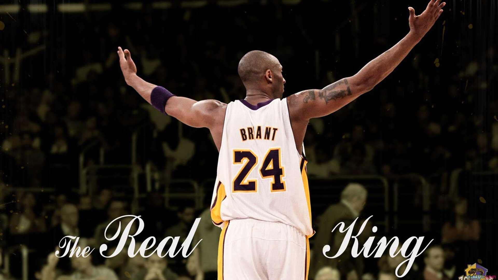 九游下载电脑版官网-电竞战队跨界综艺节目开播，破圈引百万播放，电竞战队是什么意思